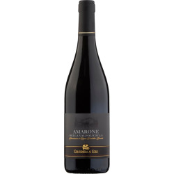 Amarone Colognola Valpolicella